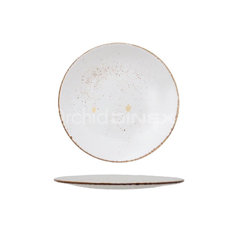 dinnerware plate/full plate