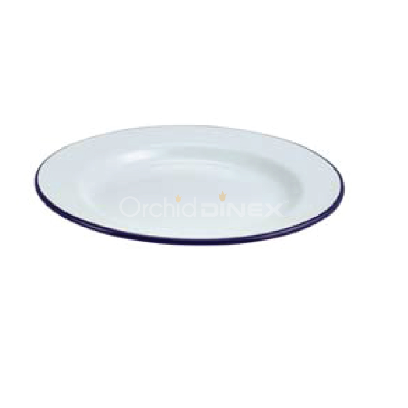 dinnerware plate