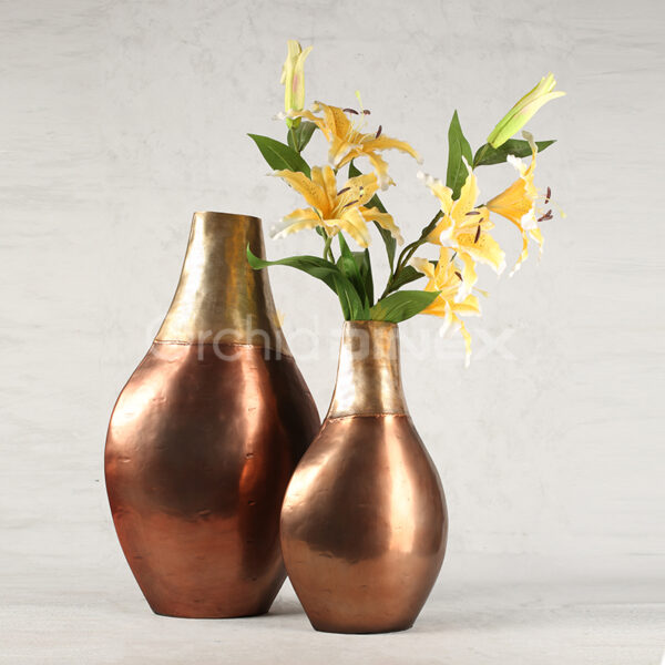 Bottle Vase (s)