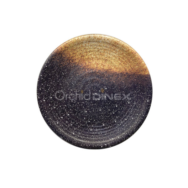 dinnerware plate