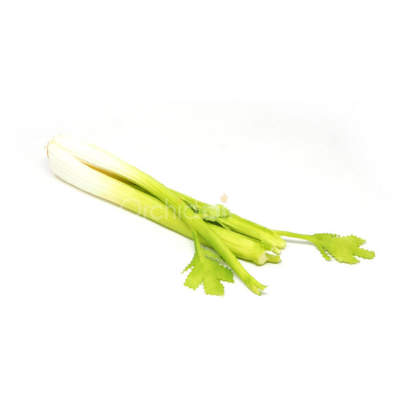 artificial vegetable